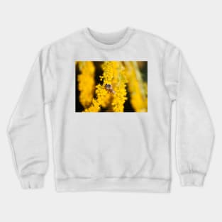 Marigold and Honey II Crewneck Sweatshirt